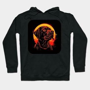 The strongest guard dog Hoodie